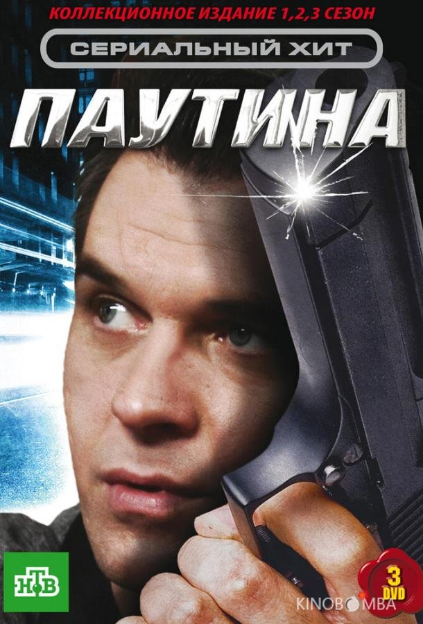 Паутина 11 24