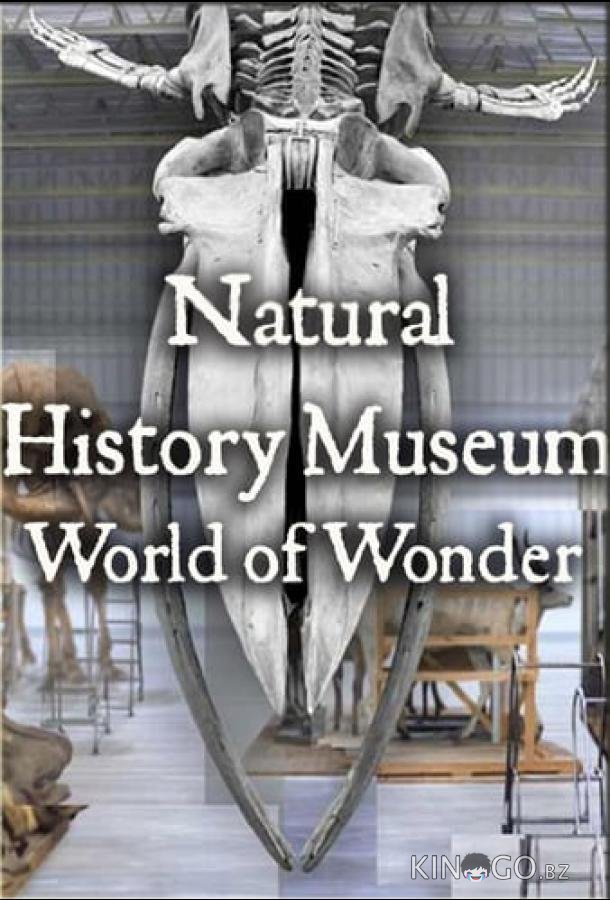 Natural History Museum: World of Wonder 1 4