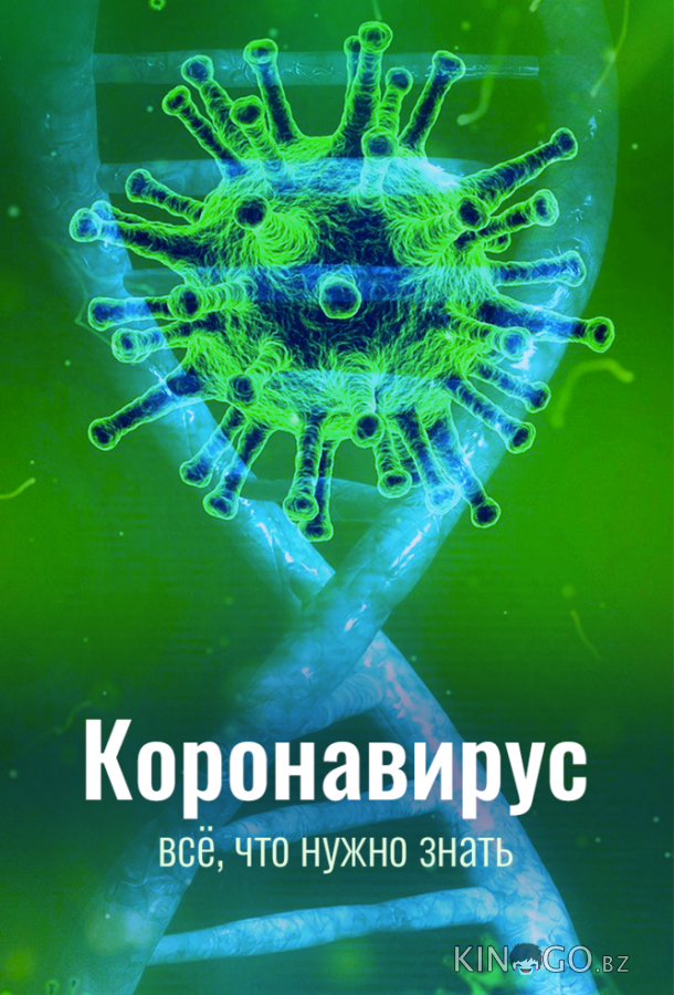 Коронавирус. Всё, что нужно знать 1 3