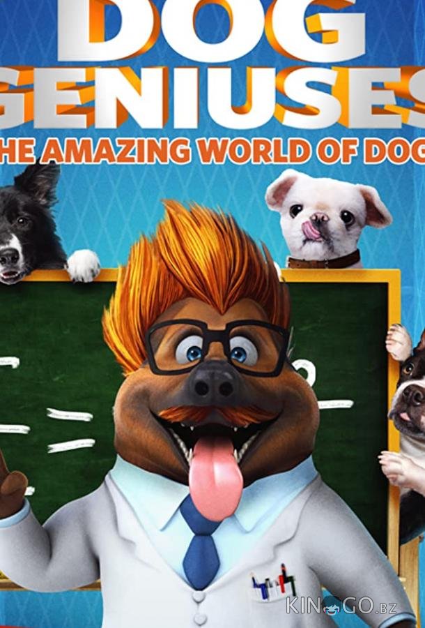 Dog Geniuses 