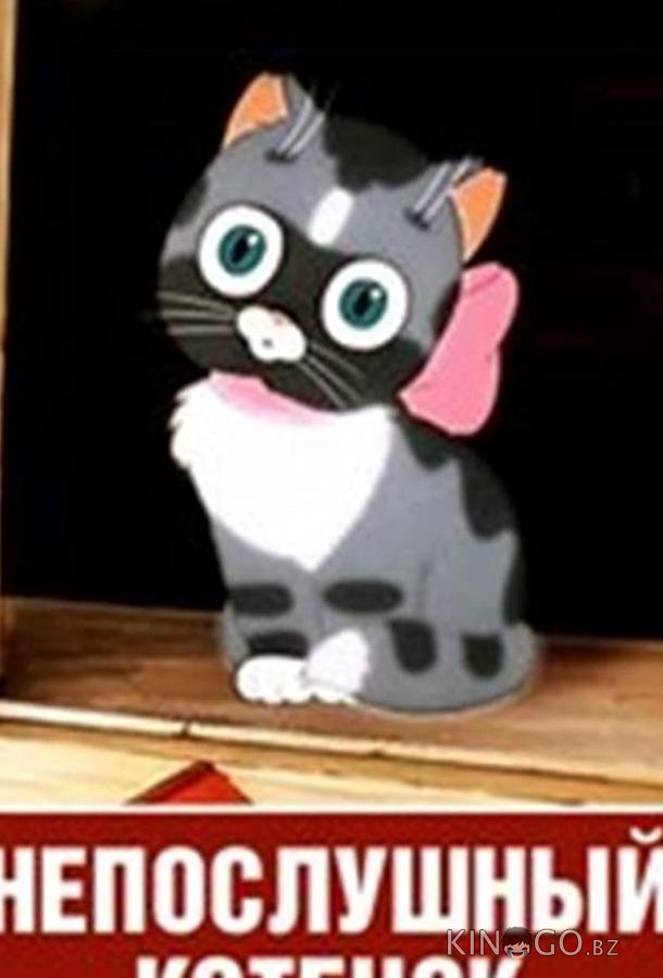 Непослушный котёнок 
