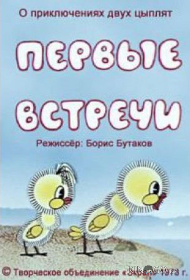 Первые встречи 