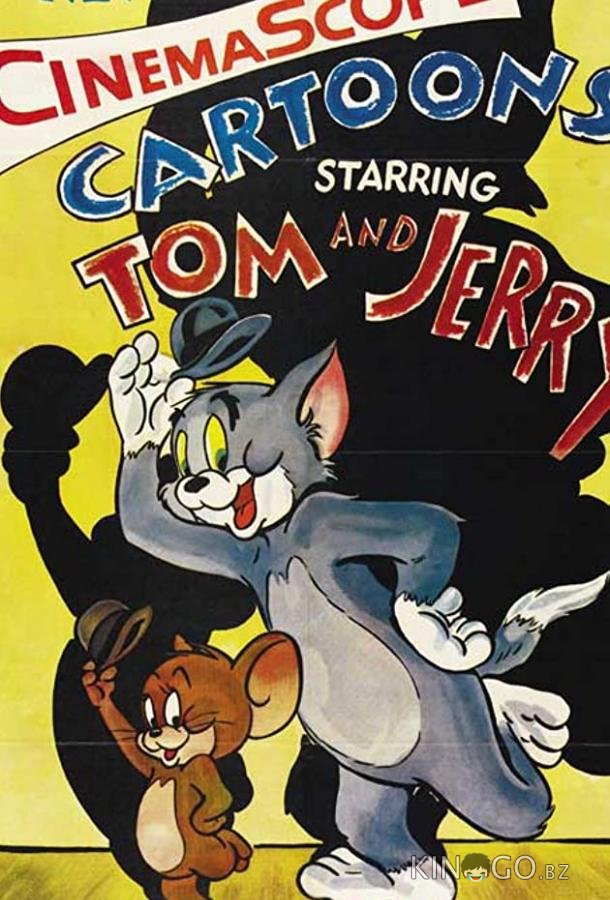 Кот скрытой камерой 