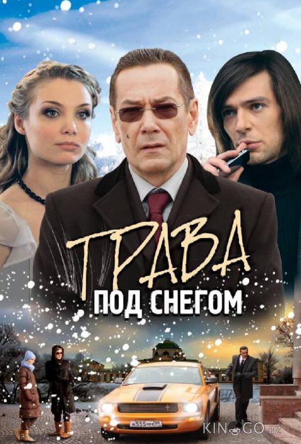 Трава под снегом 1 4