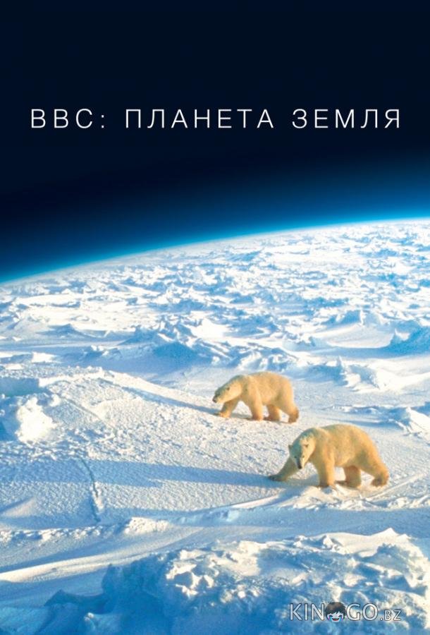 BBC: Планета Земля 1 11