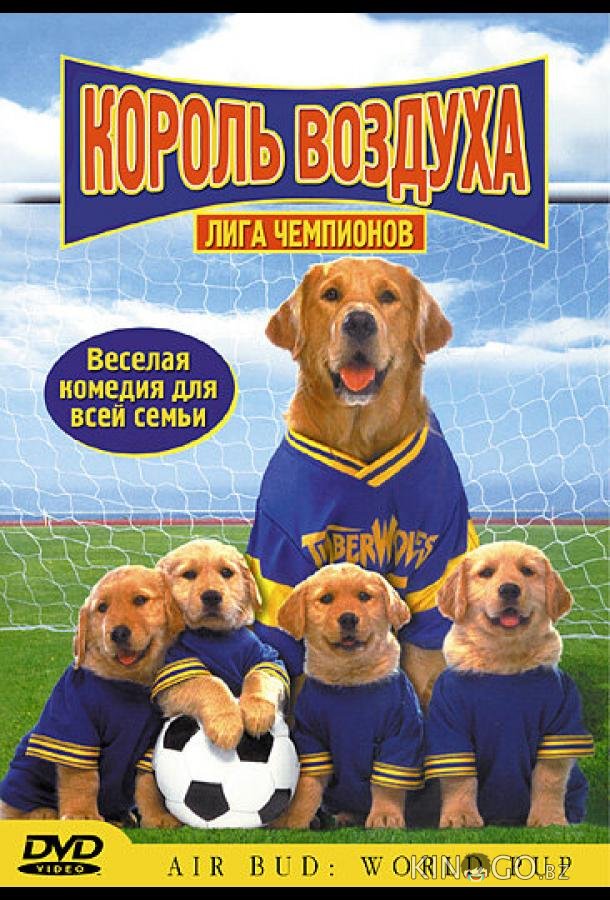Король воздуха: Лига чемпионов 