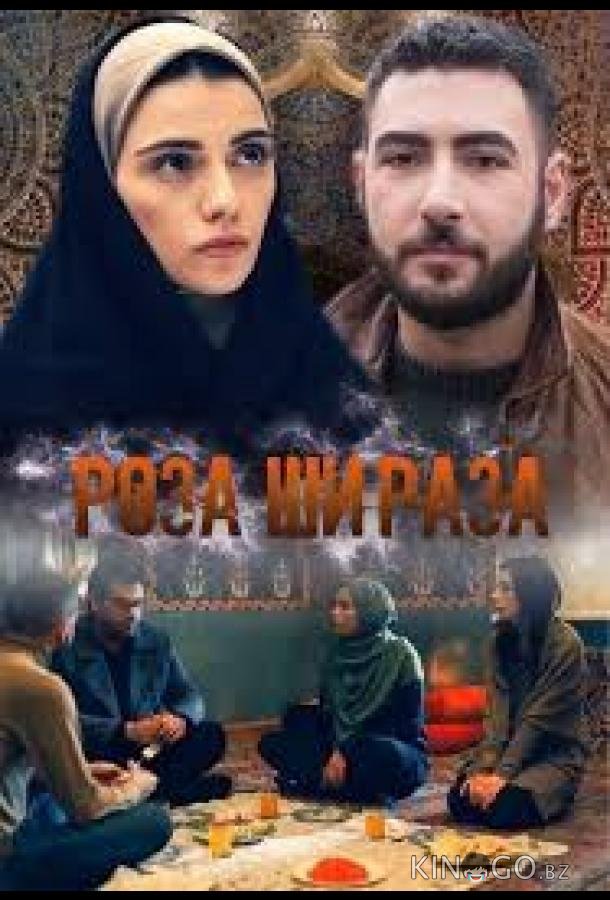 Роза Шираза 1 210