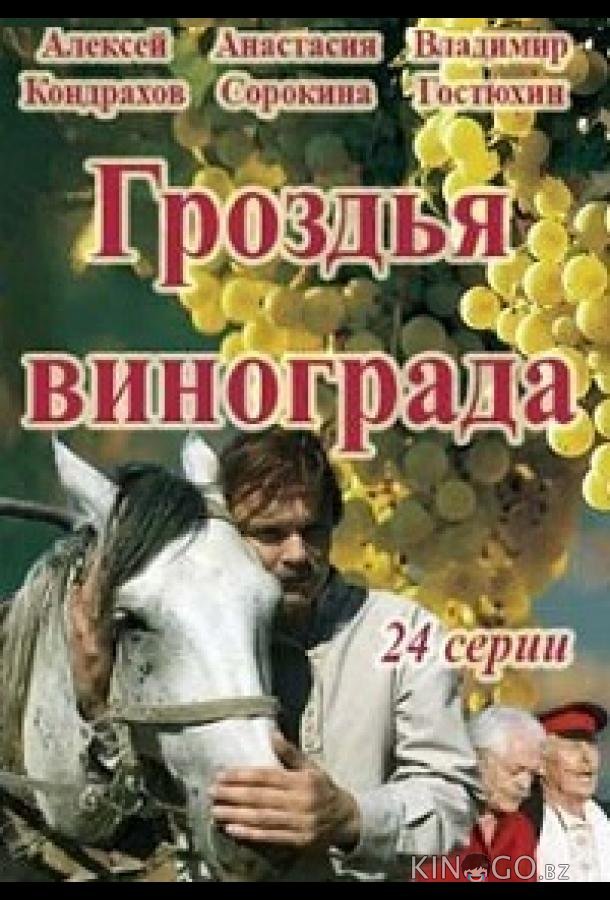 Гроздья винограда 1 24