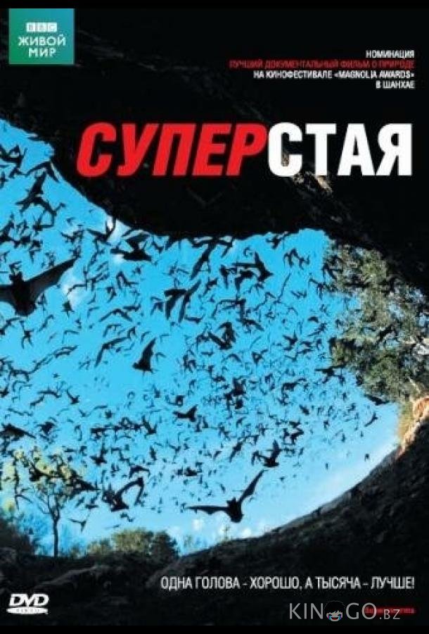 BBC: Суперстая 1 2