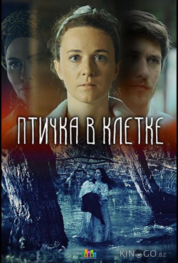 Птичка в клетке 1 2