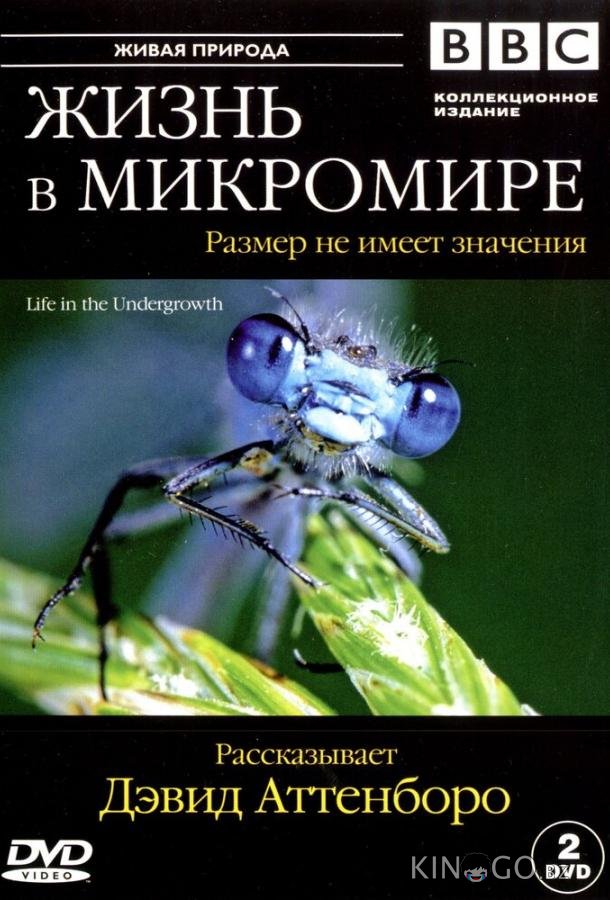 BBC: Жизнь в микромире 1 5
