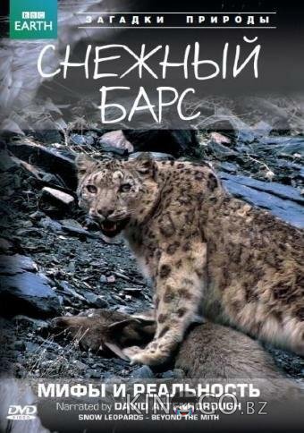 BBC: Снежный барс: Мифы и реальности 1 7
