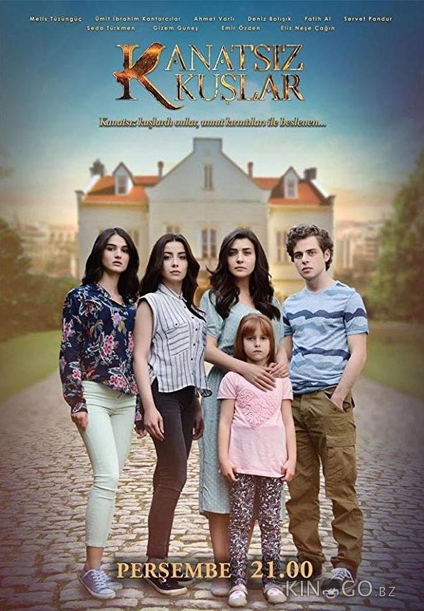 Бескрылые птицы 1 46