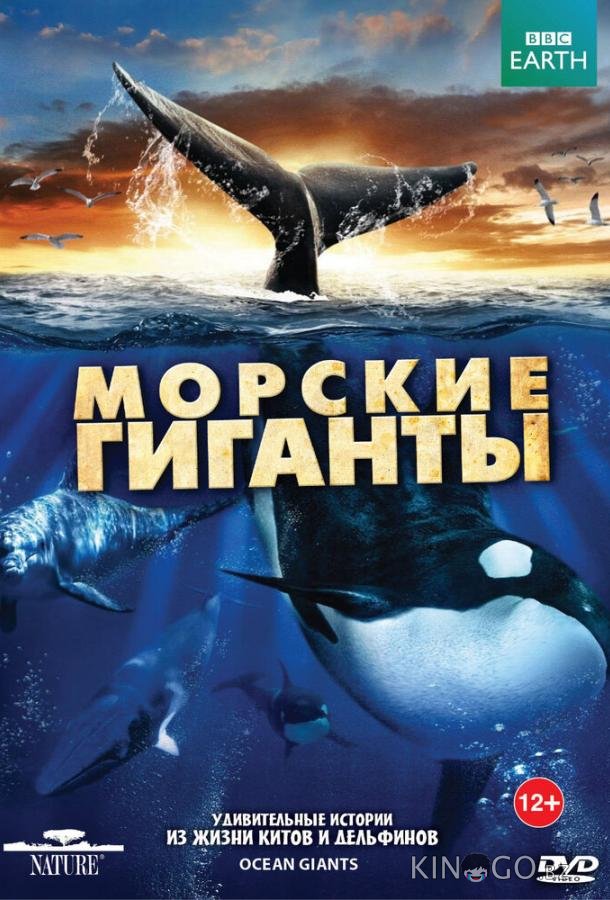 BBC: Морские гиганты 1 3