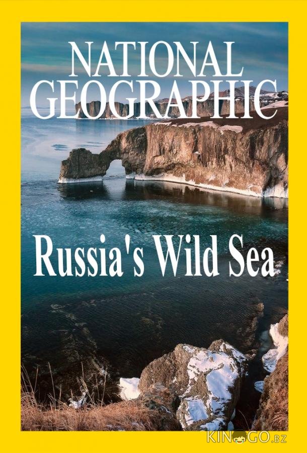 Дикое море России 1 2