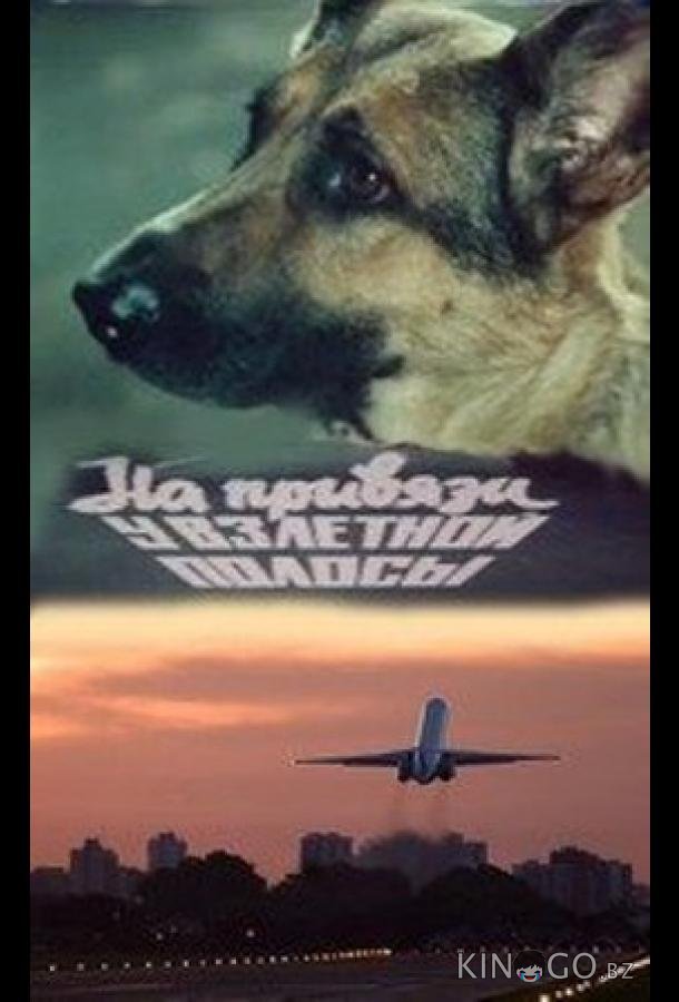 На привязи у взлетной полосы 