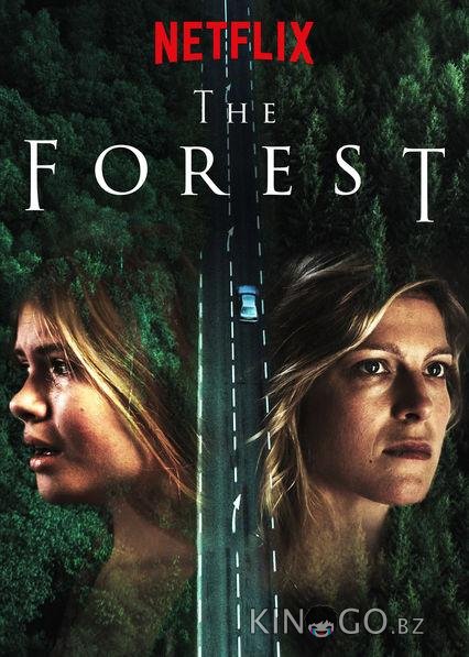 Лес 1 6