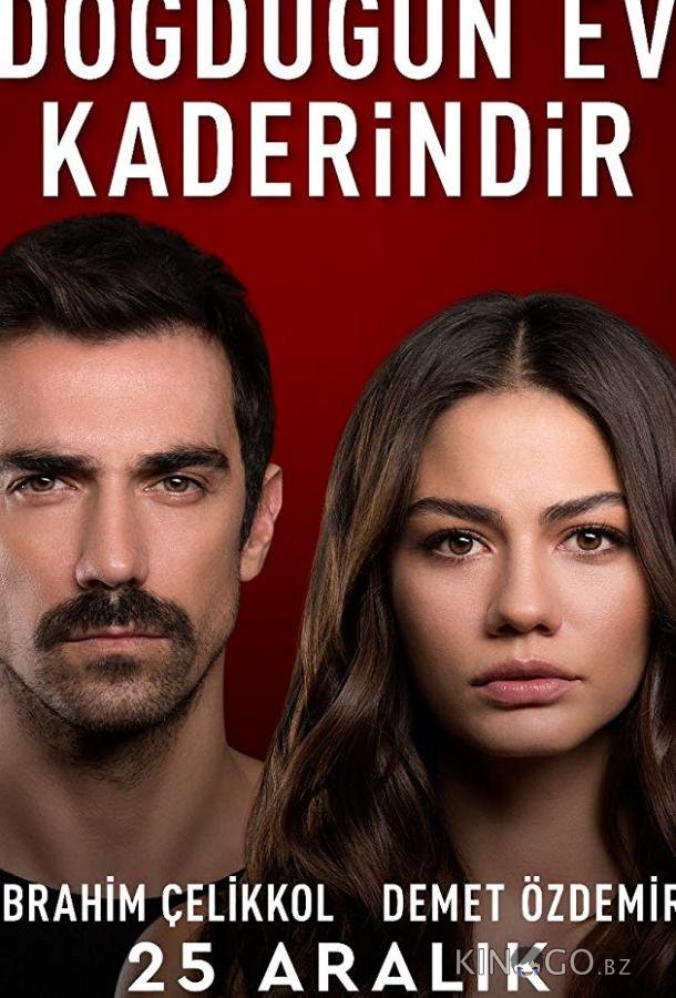 Дом, в котором ты родился, - твоя судьба 2 31
