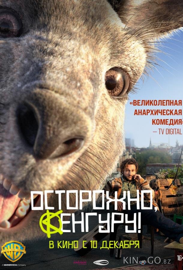 Осторожно, Кенгуру! 