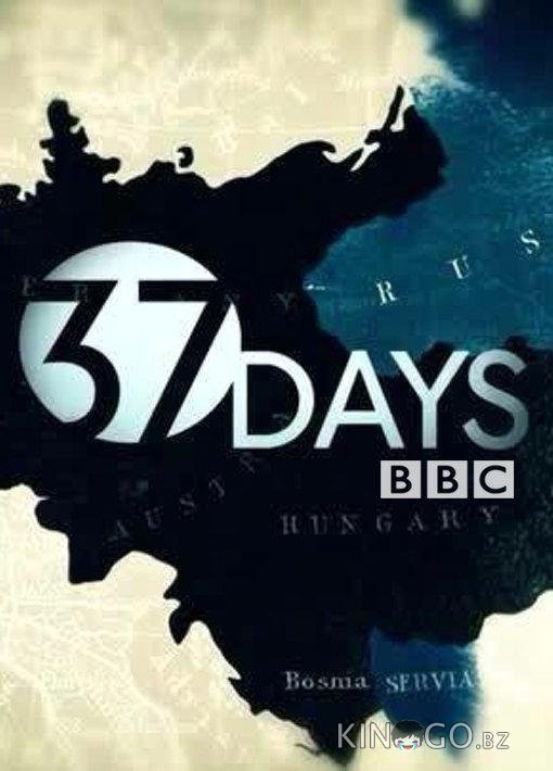 37 дней 1 3