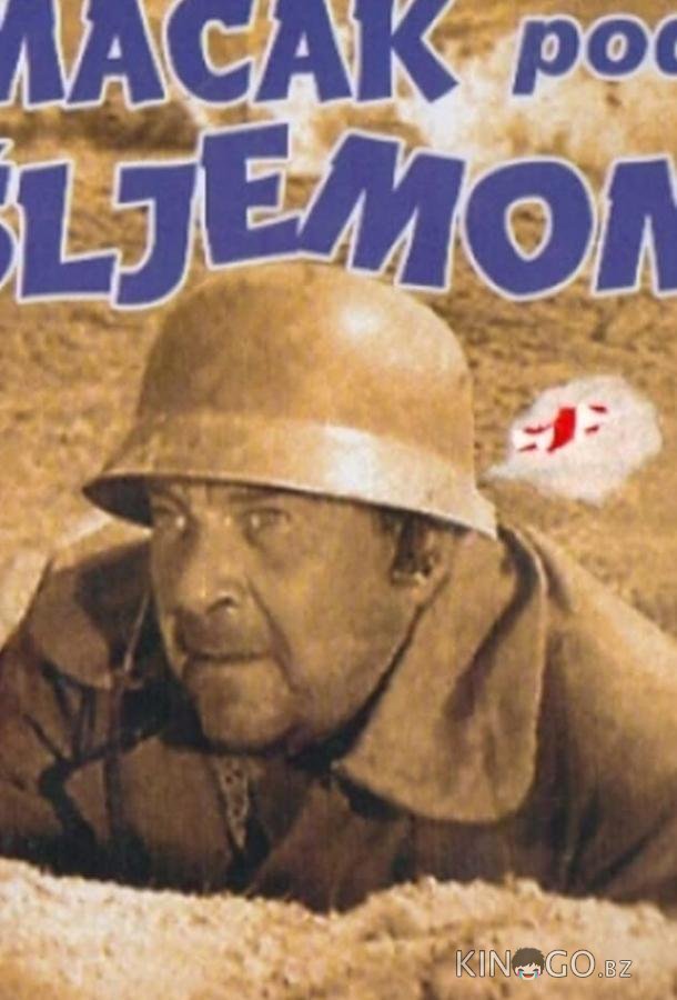 Кот под шлемом 