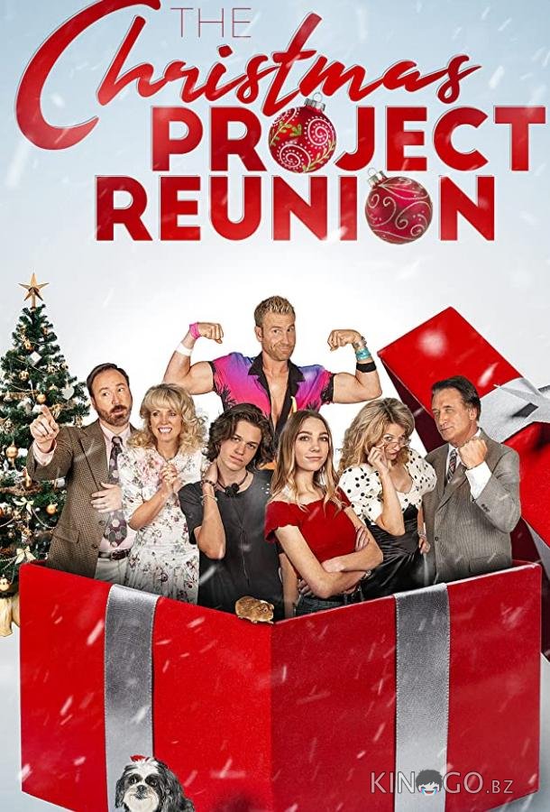 Рождественский проект 2: Воссоединение 