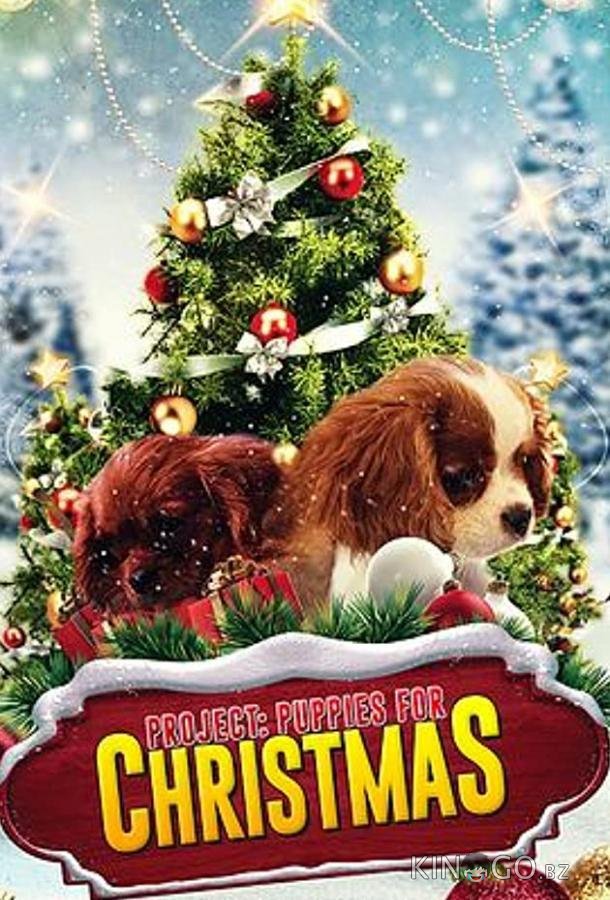 Project: Puppies for Christmas 
