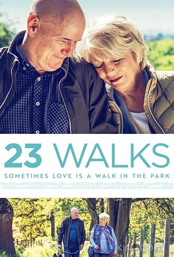 23 прогулки 