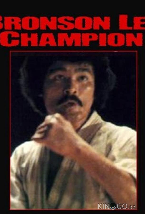 Za karate 3: Denkô sekka 