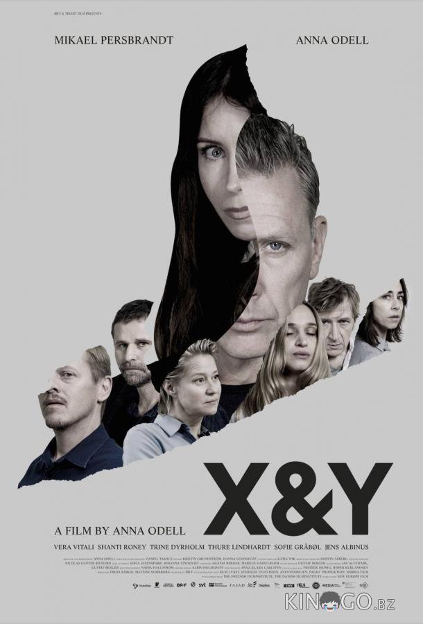 X и Y 