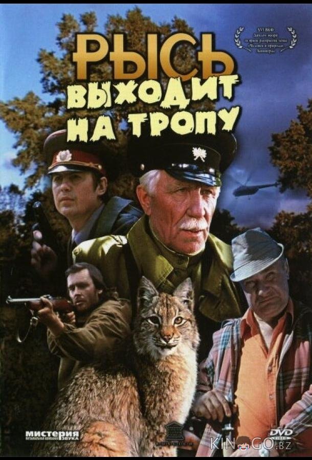 Рысь выходит на тропу 