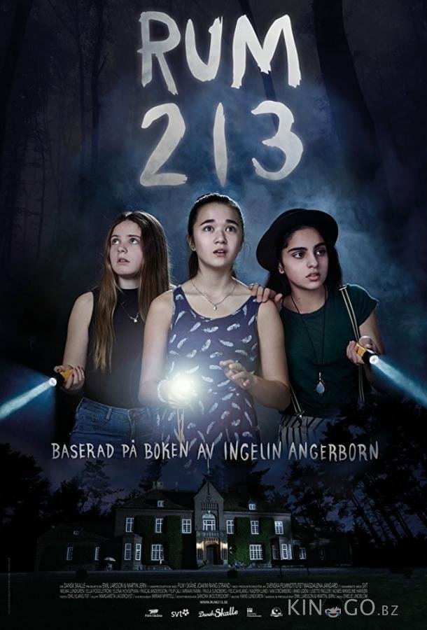 Комната 213 
