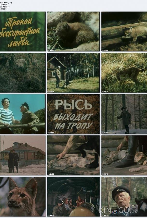 Тропой бескорыстной любви 