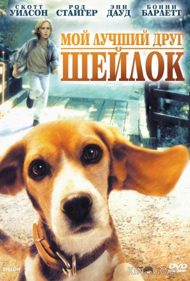 Мой лучший друг Шейлок 
