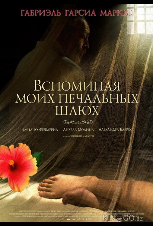 Вспоминая моих печальных шлюх 