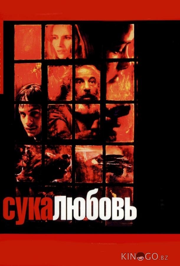 Сука-любовь 