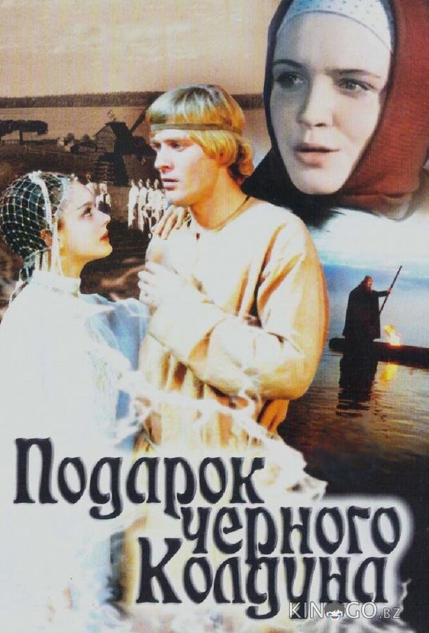 Подарок черного колдуна 