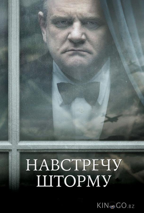 Навстречу шторму 