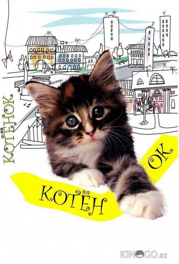 Котенок 