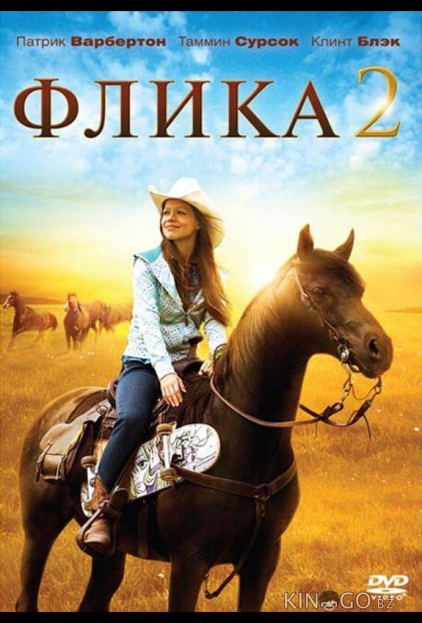 Флика 2 