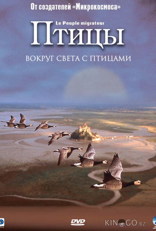 Птицы 