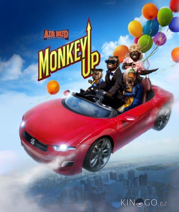 Миллионер Монти 