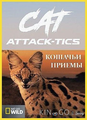 Кошачьи приемы 