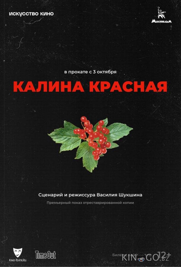 Калина красная 