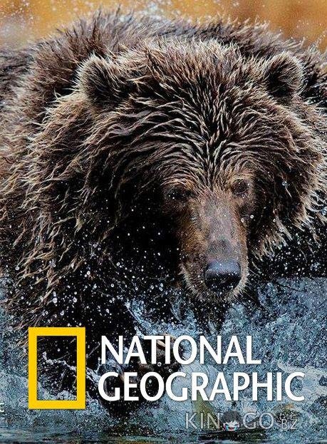 National Geographic. Империя гризли 
