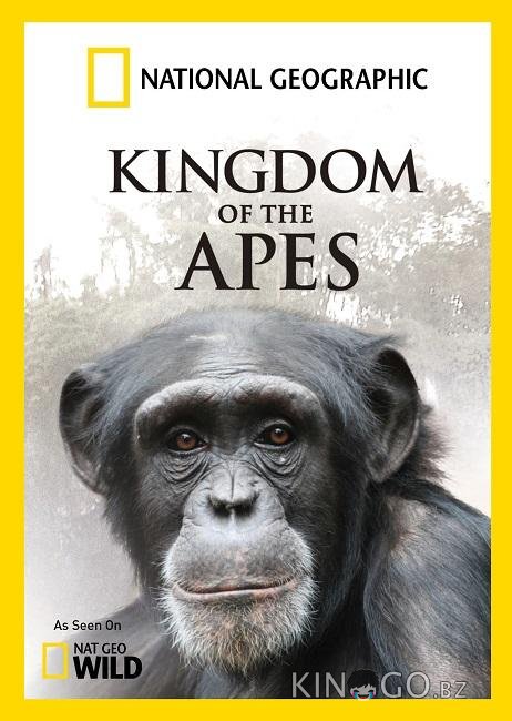 National Geographic. Королевство обезьян: Брат против брата 