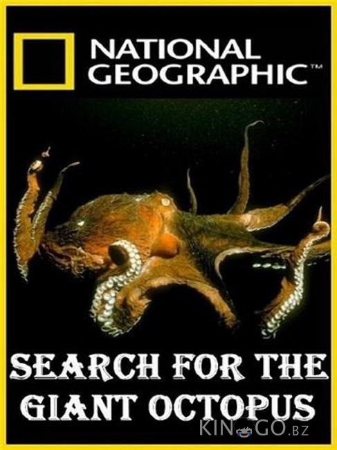 National Geographic. В поисках гигантского осьминога 