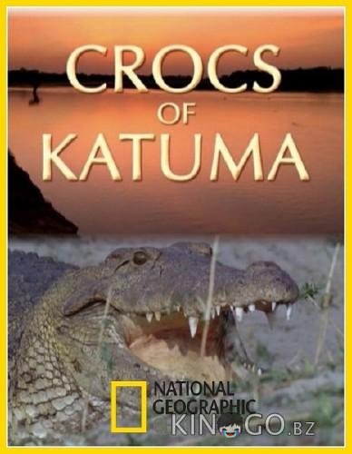 National Geographic. Крокодилы Катумы 