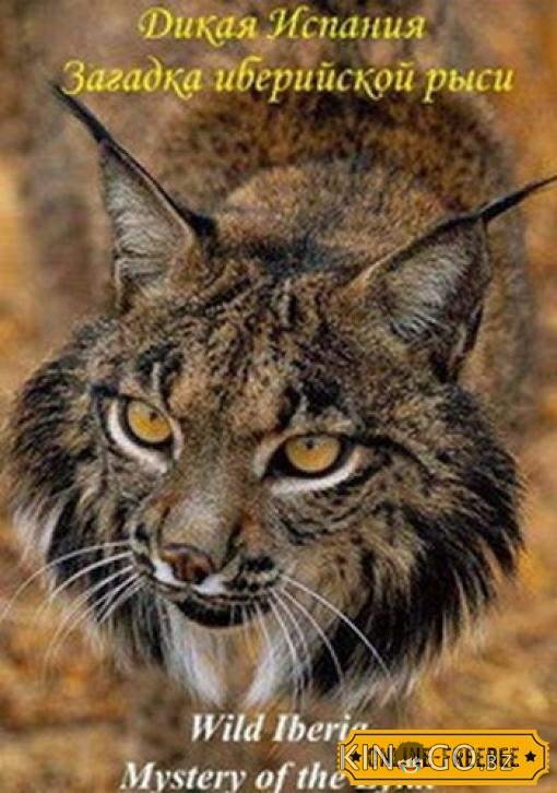 National Geographic. Дикая Иберия. Загадка иберийской рыси 