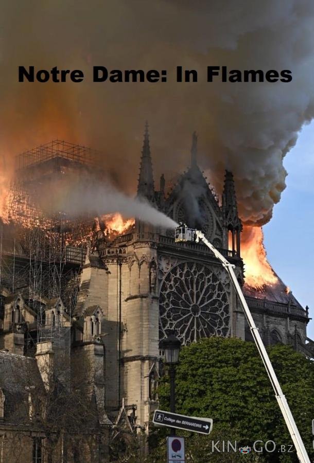 Нотр-Дам в огне 